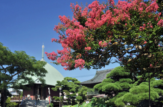 本覚寺